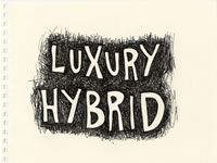 luxury hybrid